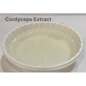 Chiết xuất đông trùng hạ thảo